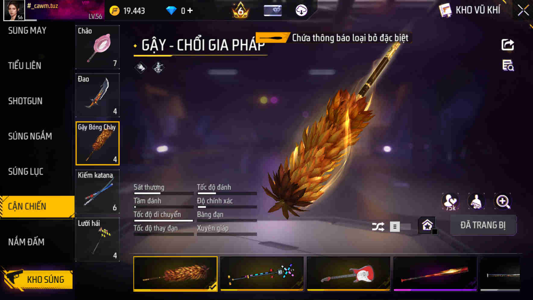 Ảnh 5