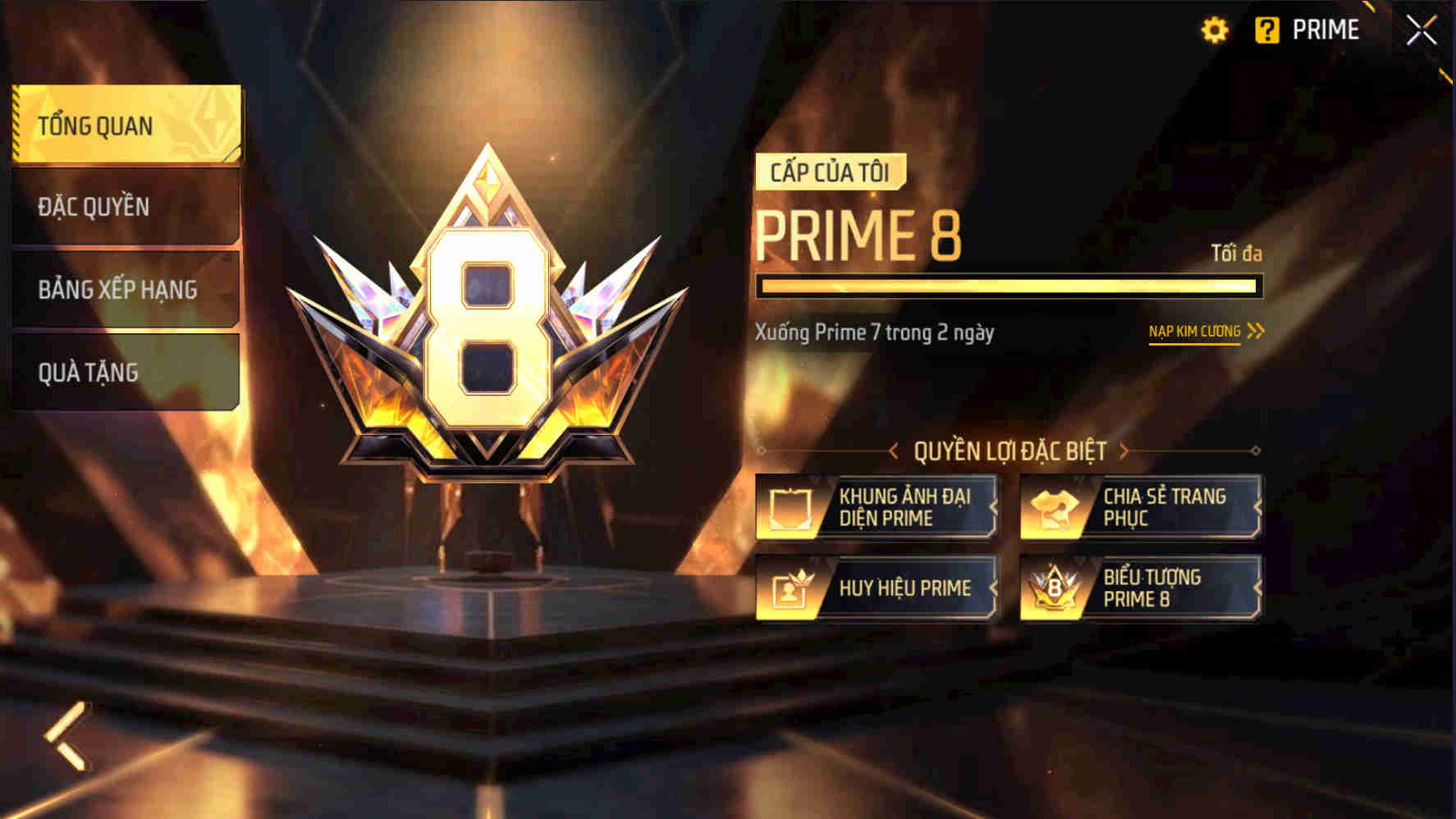 Ảnh 3