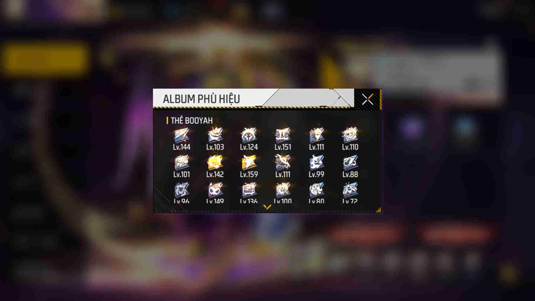 Ảnh 2