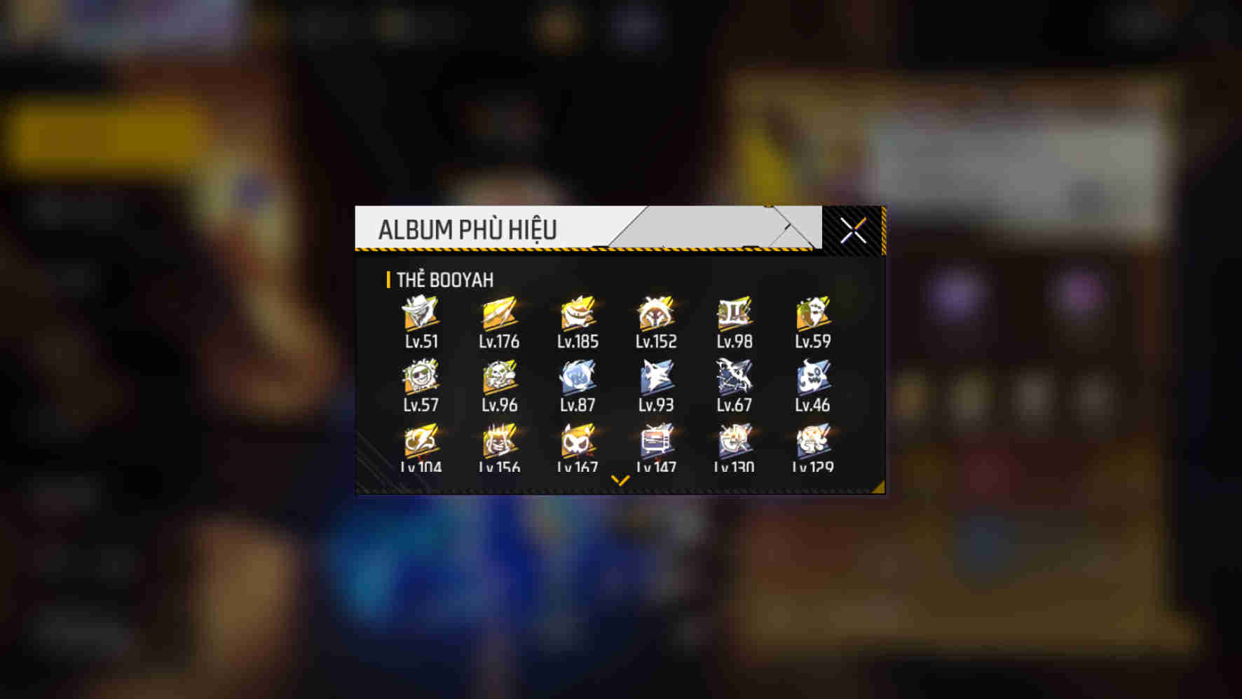 Ảnh 2